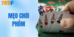 8+ Mẹo Chơi Phỏm Cực Hay - Dễ Áp Dụng Cho Cả Người Mới