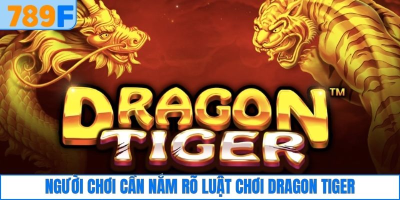 Người chơi cần nắm rõ luật chơi Dragon Tiger