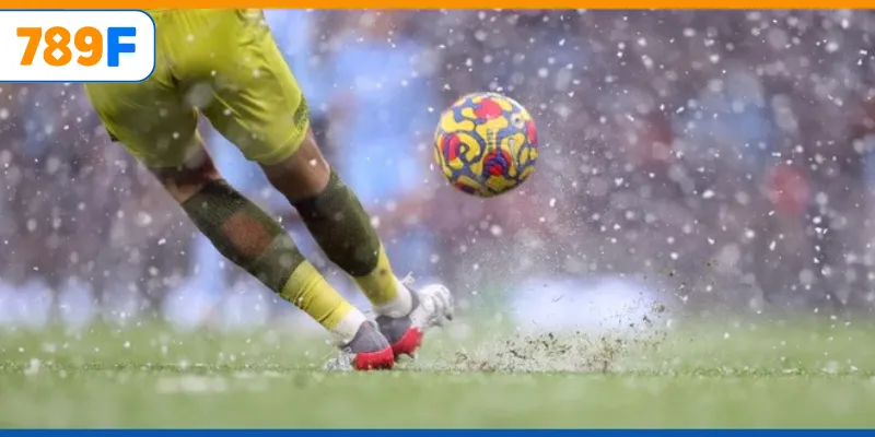 Linh Vật Của Chelsea: Niềm Cảm Hứng Cho Đội Bóng Và Fan 3 Bàn thắng ấn tượng nhờ chiến thuật tấn công linh hoạt