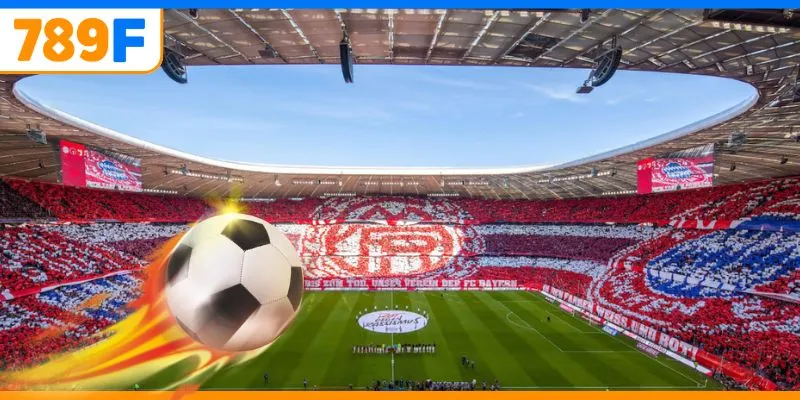 Linh Vật Của Chelsea: Niềm Cảm Hứng Cho Đội Bóng Và Fan 2 Giải đáp thắc mắc Bayern Munich ở đâu?