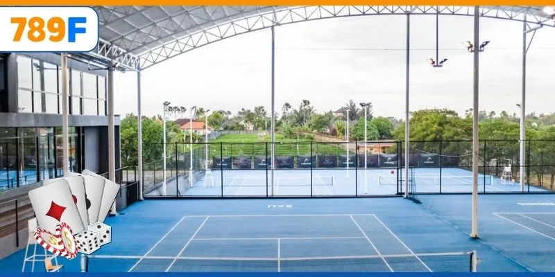 Linh Vật Của Chelsea: Niềm Cảm Hứng Cho Đội Bóng Và Fan 4 Các loại sân quần vợt và ảnh hưởng đến diện tích sử dụng