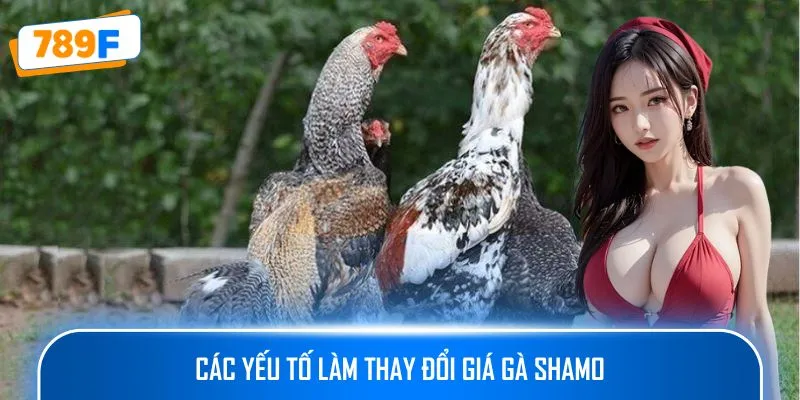 Các Dòng Gà Mỹ Săn Chắc: Sức Bền Và Phản Xạ Vượt Trội 2 Các yếu tố làm thay đổi giá gà Shamo