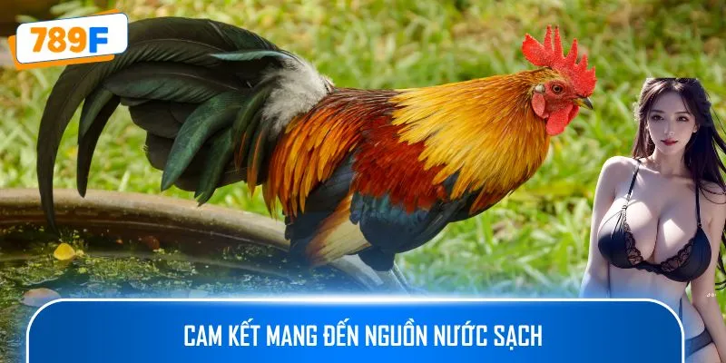 Cam kết mang đến nguồn nước sạch