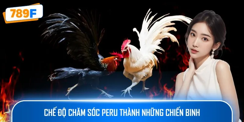 Chế độ chăm sóc Peru thành những chiến binh