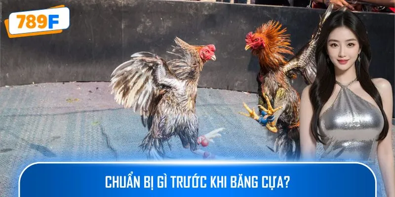 Chuẩn bị gì trước khi băng cựa?