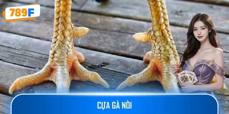 Cựa Gà Nòi - Các Loại Cựa Và Ứng Dụng Trong Đá Gà Online 1 Cựa Gà Nòi - Các Loại Cựa Và Ứng Dụng Trong Đá Gà Online