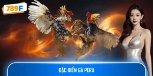 Đặc Điểm Gà Peru – Chiến Kê Nổi Tiếng Với Khả Năng Chiến Đấu