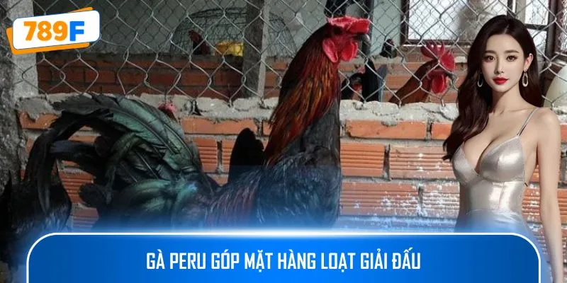 Gà Peru góp mặt hàng loạt giải đấu