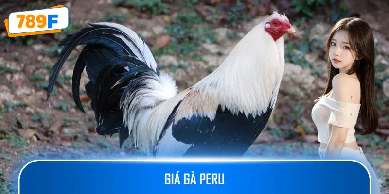 Giá Gà Peru – Khám Phá Mức Giá Thuần Chủng Và Lai Tạo 1 Giá Gà Peru – Tìm Hiểu Mức Giá Dòng Thuần Chủng Và Lai Tạo