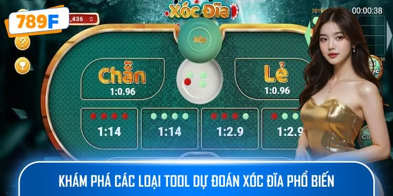 Khám phá các loại tool dự đoán xóc đĩa phổ biến 