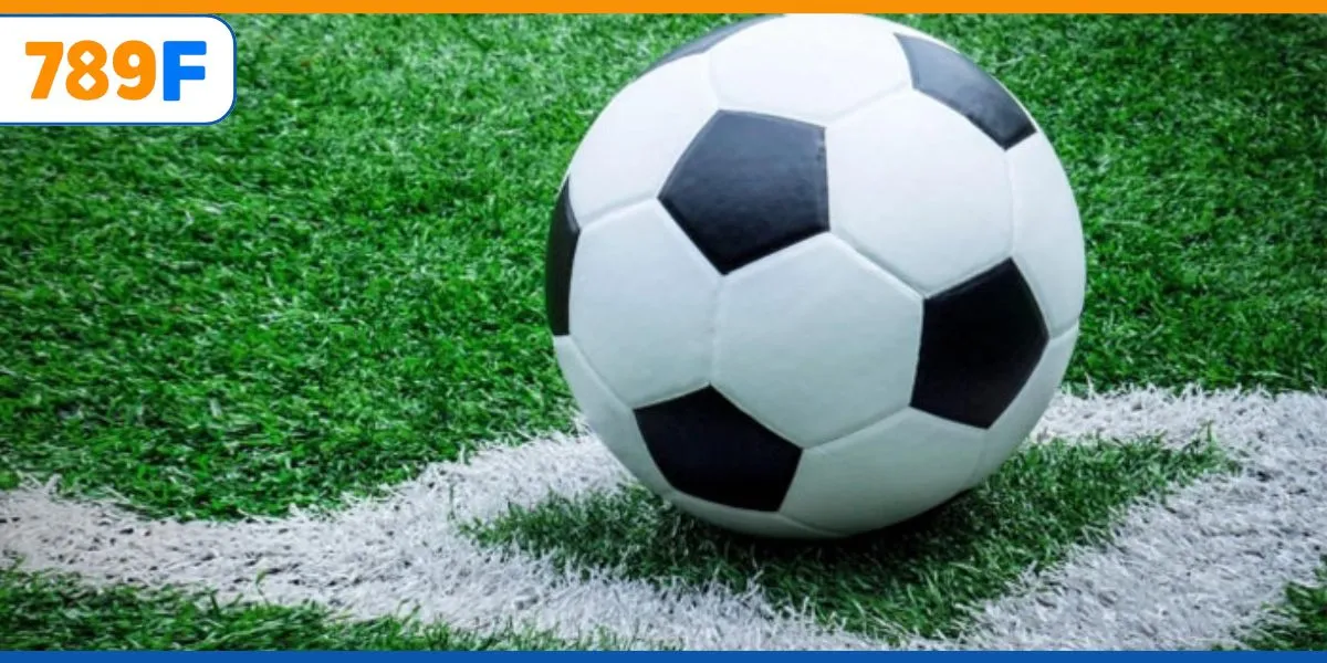 Linh Vật Của Chelsea: Niềm Cảm Hứng Cho Đội Bóng Và Fan 4 Kinh nghiệm bắt kèo bóng được ưa chuộng nhất 2025