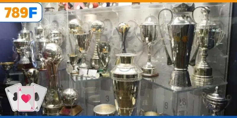 Linh Vật Của Chelsea: Niềm Cảm Hứng Cho Đội Bóng Và Fan 3 Manchester United có được bao nhiêu danh hiệu quốc nội