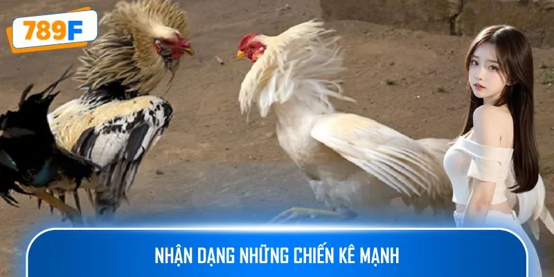 Nhận dạng những chiến kê mạnh