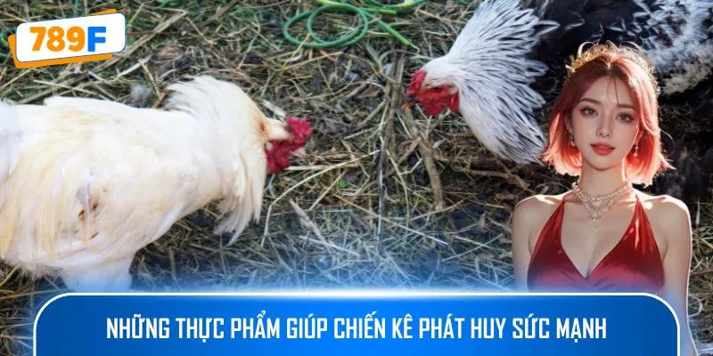 Những thực phẩm giúp chiến kê phát huy sức mạnh