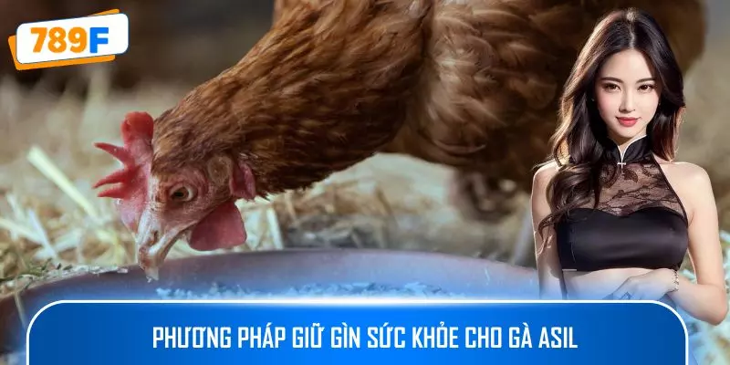 Phương pháp giữ gìn sức khỏe cho gà Asil