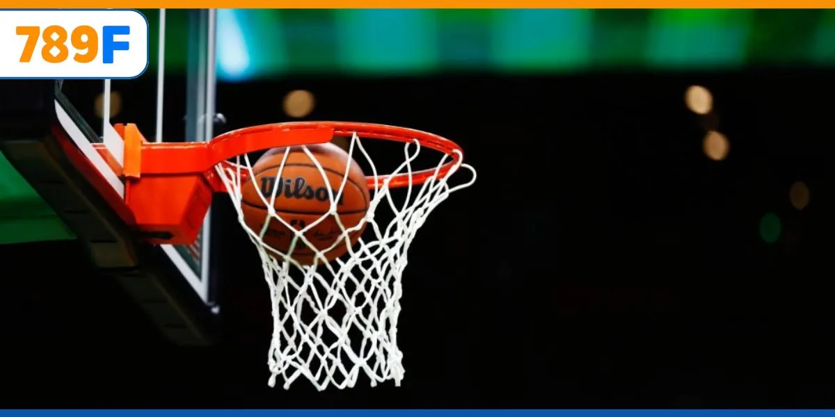 Linh Vật Của Chelsea: Niềm Cảm Hứng Cho Đội Bóng Và Fan 4 TOP những lỗi có thể xảy ra trong khi chơi bóng rổ