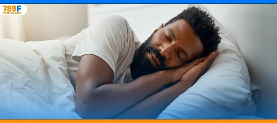 Con số cần để mắt tới khi mơ thấy 3 con chó