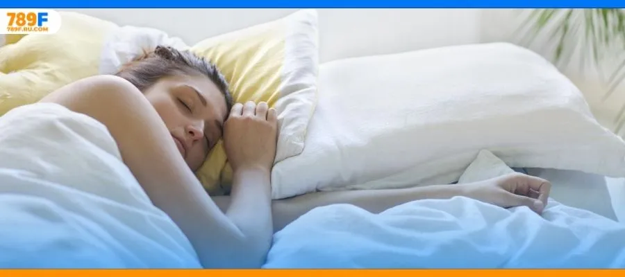 Ý nghĩa đằng sau giấc mơ thấy 3 con chó