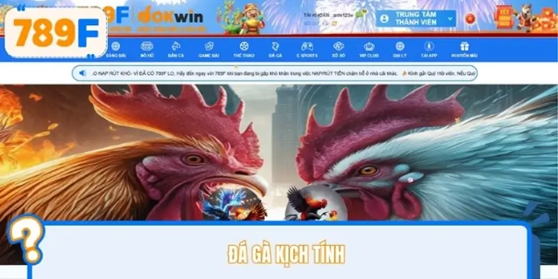 Đá gà kịch tính